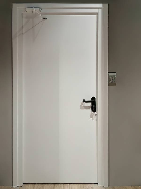 Дверь с доводчиком (магазин в ТЦ «Капитолий») Дверь с доводчиком (магазин в ТЦ «Капитолий»)